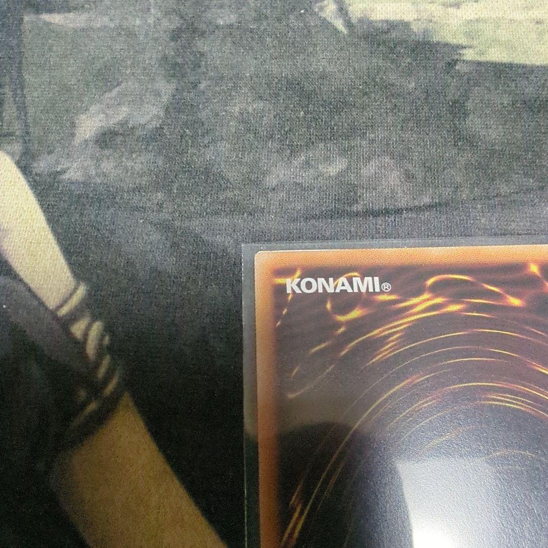 霆王の閃光　プリシク