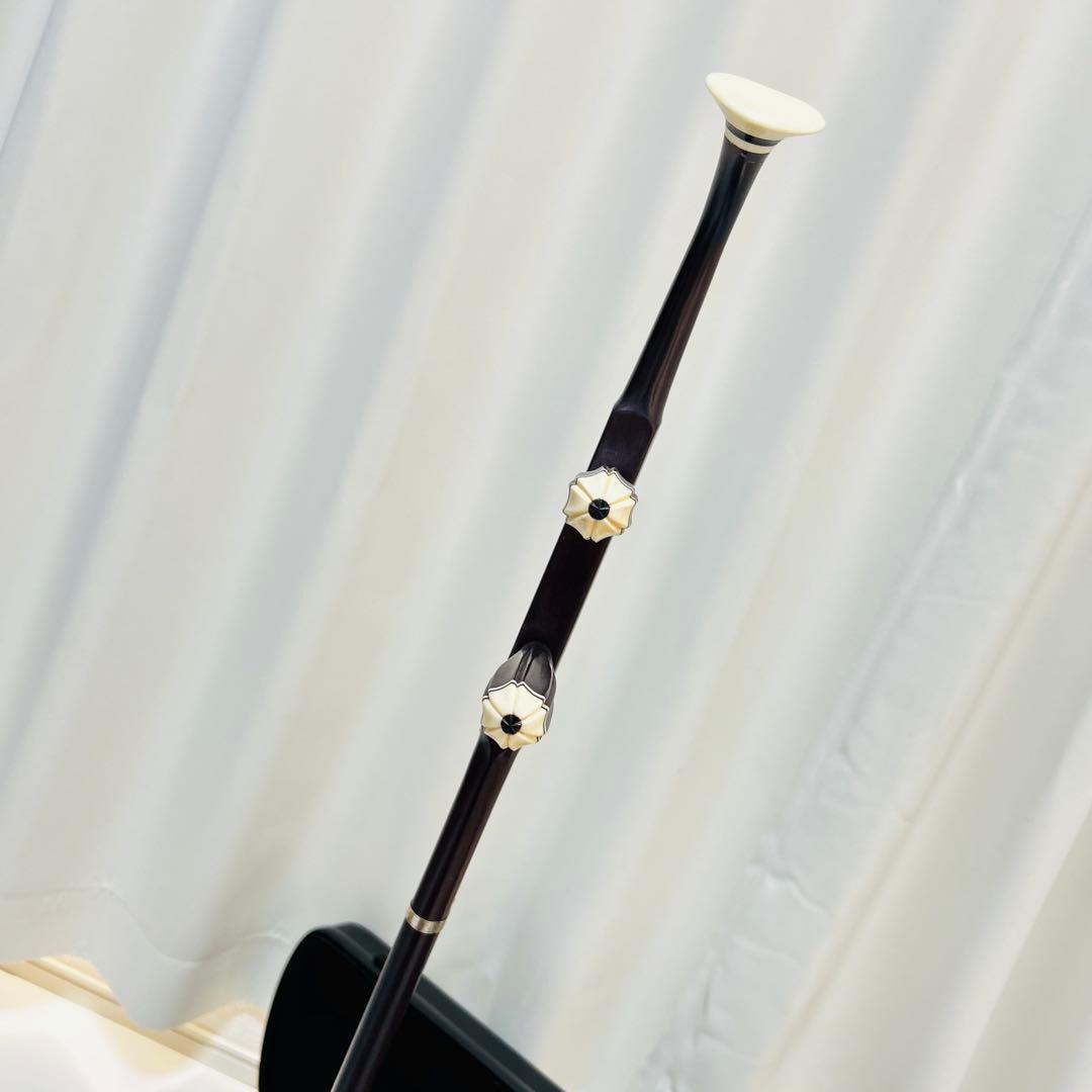 【付属品大多数】高級 二胡 本革 蛇革 中国 民族楽器 紅木 ハードケース付き