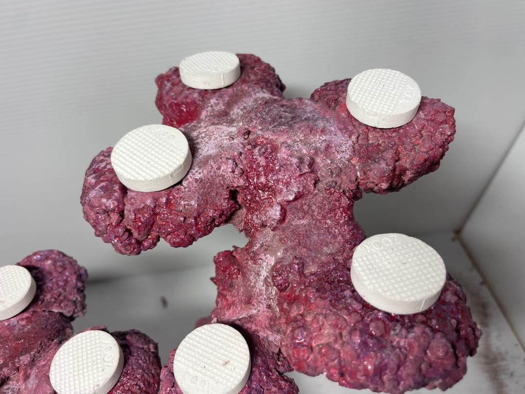 【送料無料】人工ライブロック　PHR40／12穴加工　アク抜き済み安心塗料使用