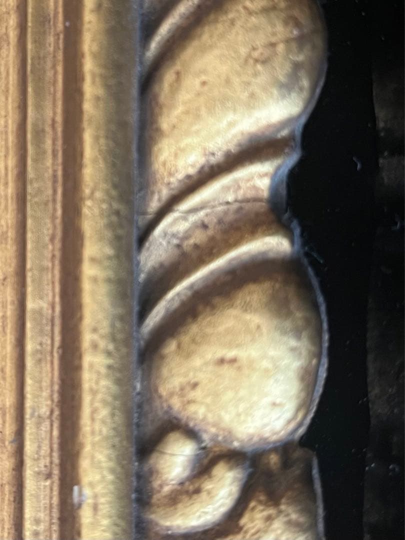 Armand Miravalls Boveダリア➕他画家　金額縁