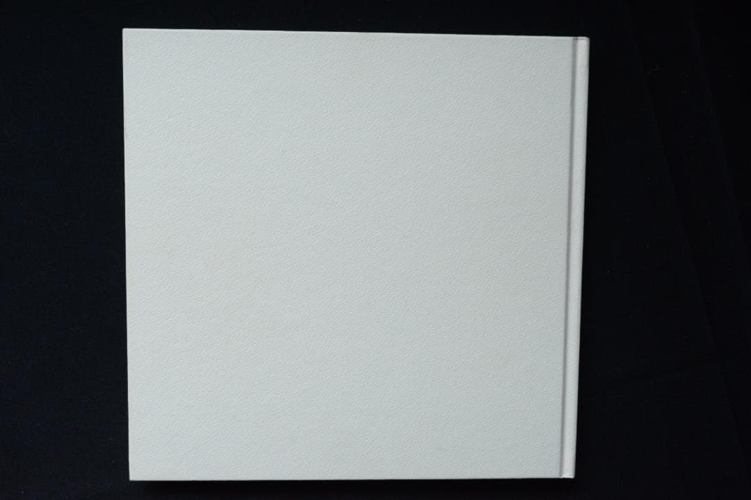 Boris Mikhailov: The Wedding / ボリス・ミハイロフ