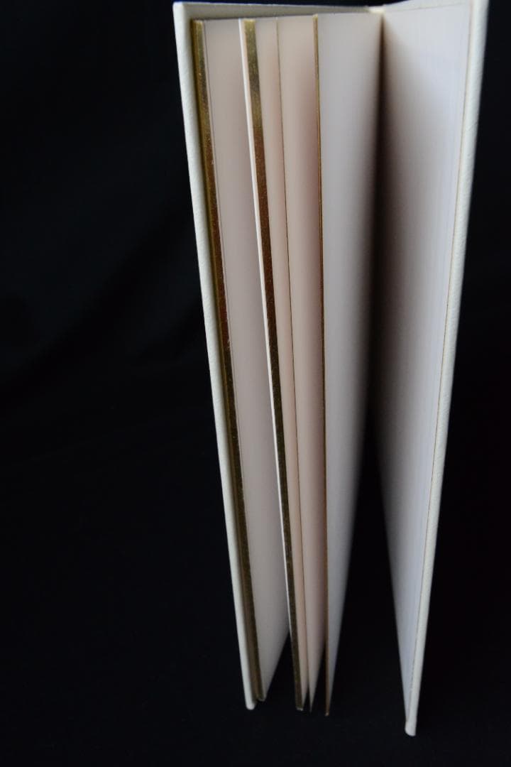 Boris Mikhailov: The Wedding / ボリス・ミハイロフ