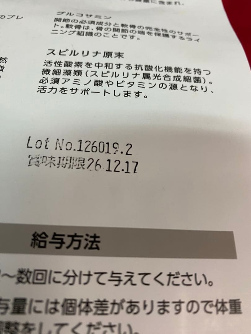 BWild イノシシ　/ BELCANDO高級ラム