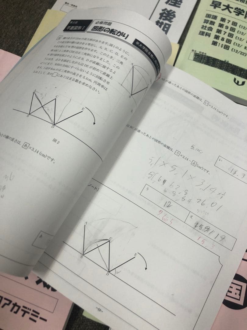 早稲田アカデミー　NN早大学院　日曜/夏期/正月/直前/副教材　2025年受験