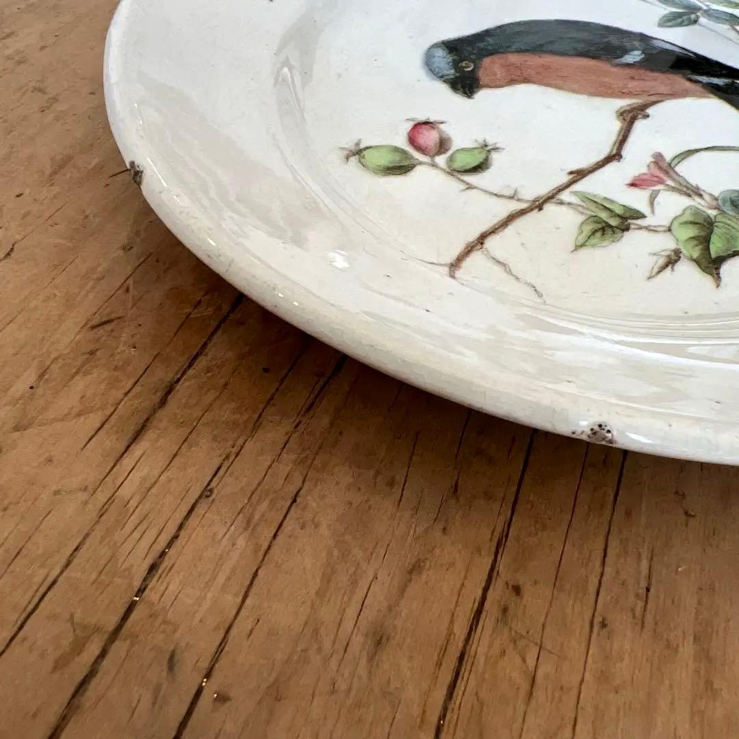 希少アンティーク　ジョン・モードロック・ロビン・プレート1800年代後半