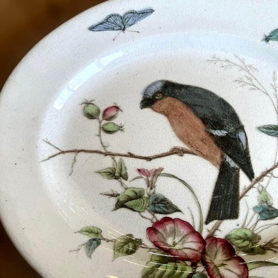 希少アンティーク　ジョン・モードロック・ロビン・プレート1800年代後半