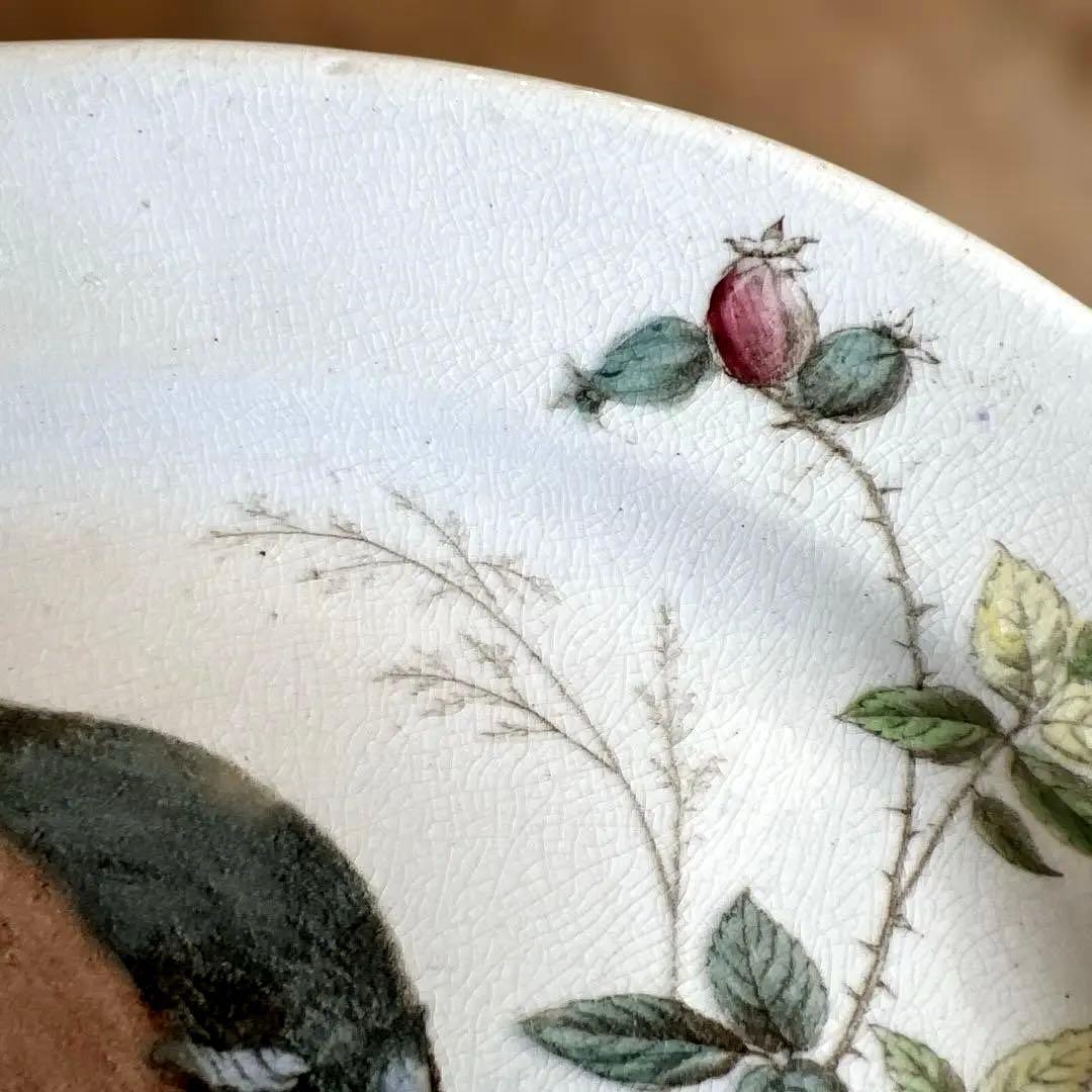 希少アンティーク　ジョン・モードロック・ロビン・プレート1800年代後半