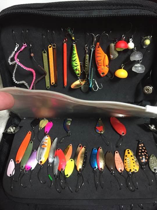超お買い得❗️ ルアーセット ルアーケース付き