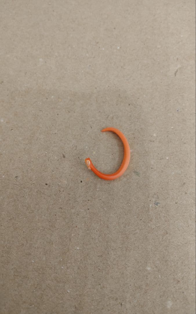 グッドスマイルカンパニー 五等分の花嫁 ５体セット フィギュア