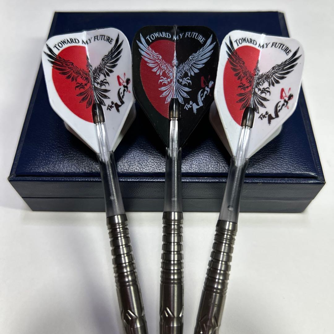美品！COSMODARTS ROYDEN LAM 3 セッティングセット！