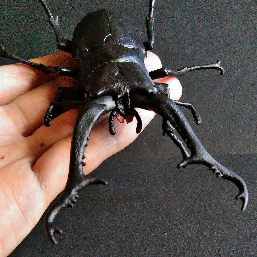昆虫　フィギア　クワガタ　原寸大モデル