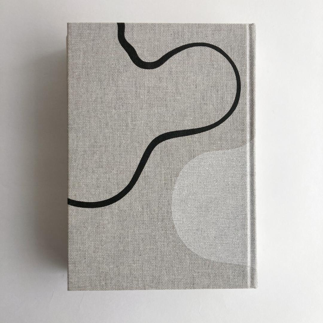 アルヴァ・アアルト作品集 Alvar Aalto / Second Nature