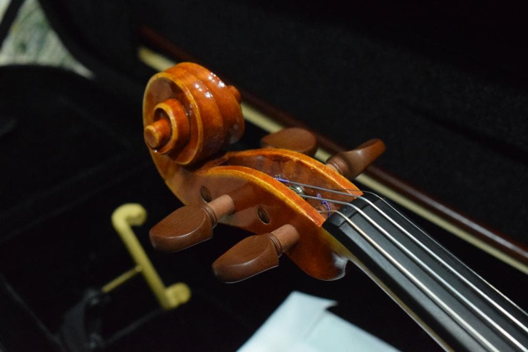 PYGMALIUS Antique 2012 4/4 Violin 付属品有