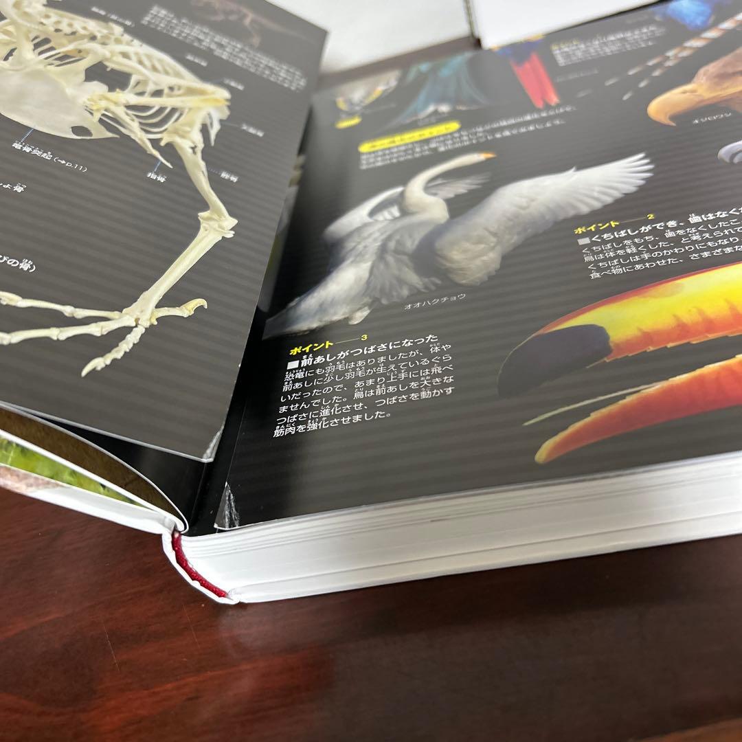 小学館の図鑑NEO と世界遺産14冊セット