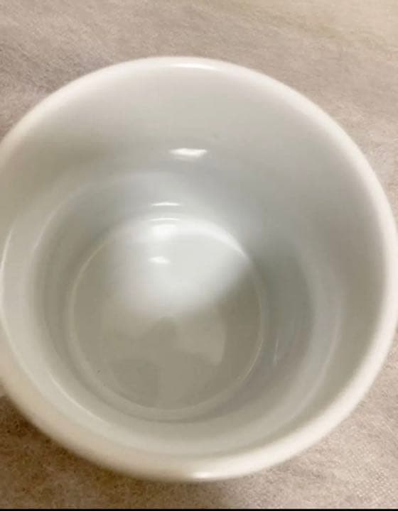 超希少 リバプールFC ジャンボマグカップ アルミドリンクボトル