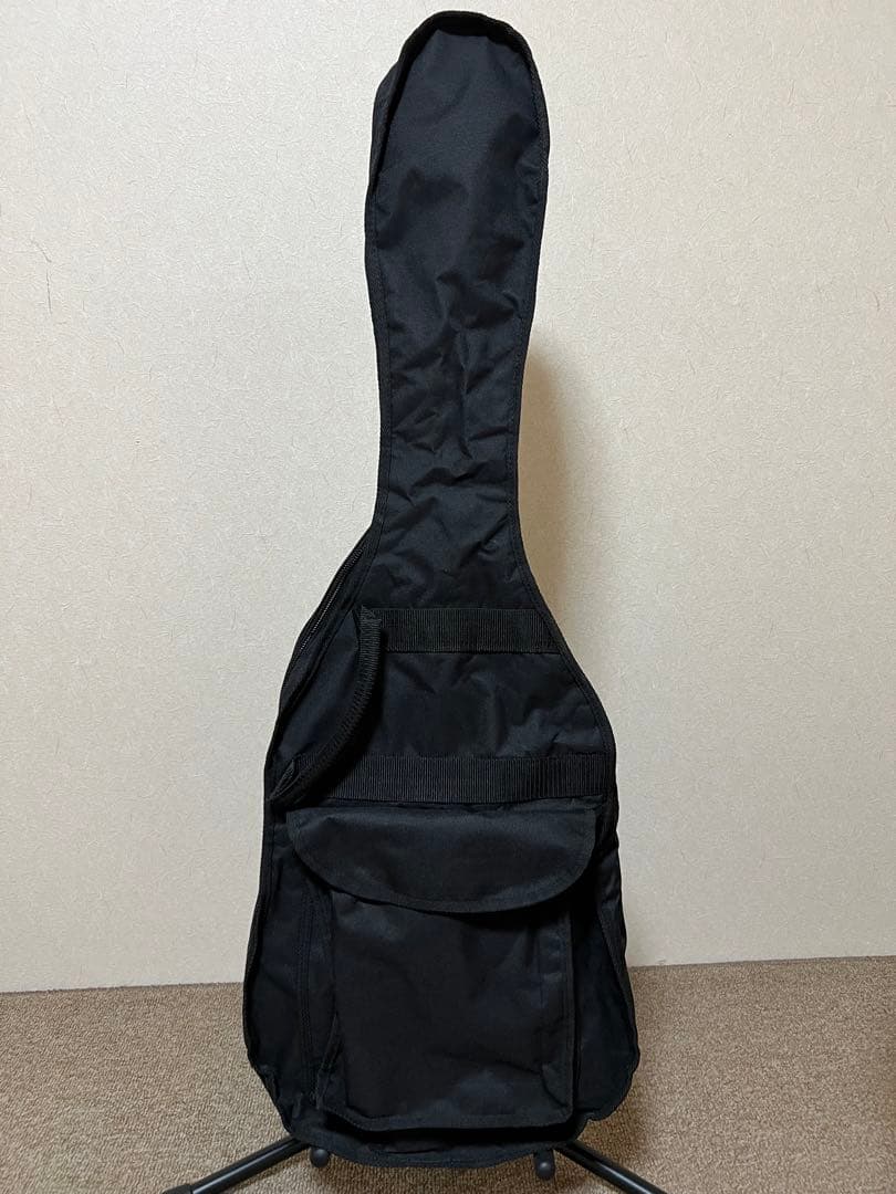 Schecter Diamond Series美品10月から出張に行くので値下げ