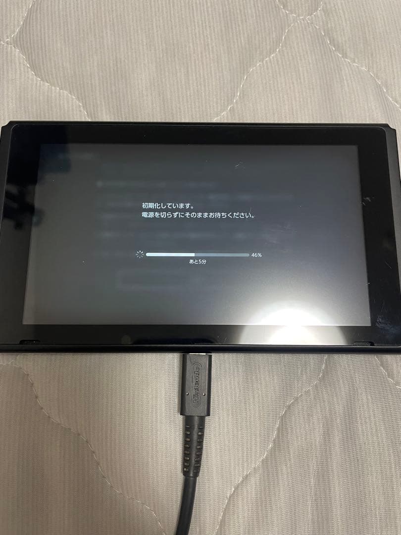 ニンテンドSwitch (ジョイコンなし)