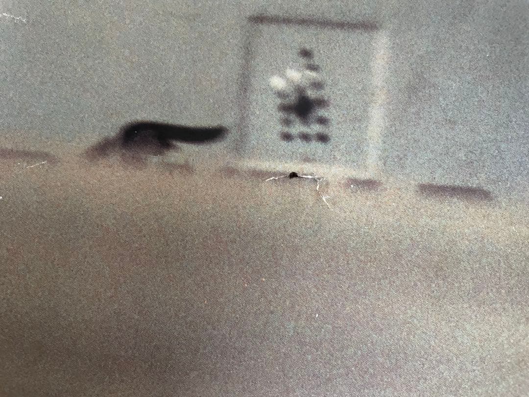 F1 ポスター マクラーレン アラン・プロスト 昭和シェル石油