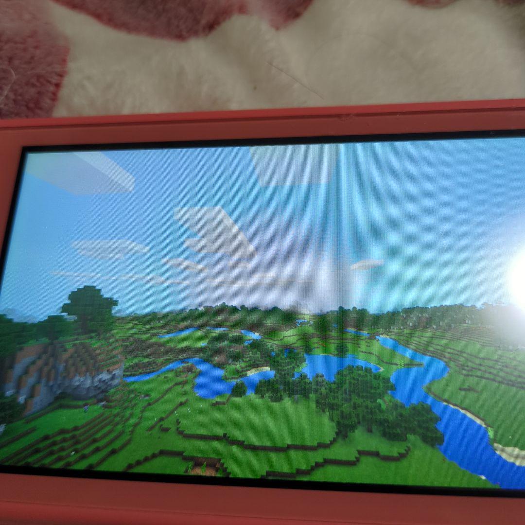 Nintendo Switch Lite ピンク 本体 Minecraft