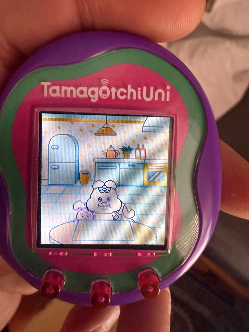 可哀想にランドダウンロード済み！Tamagotchi Uni