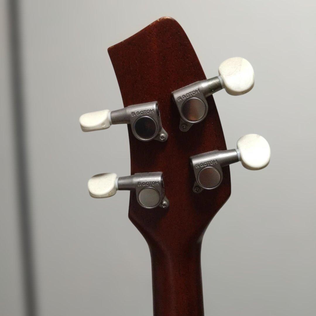 楽器　一五一会　弾き方ビデオ付き