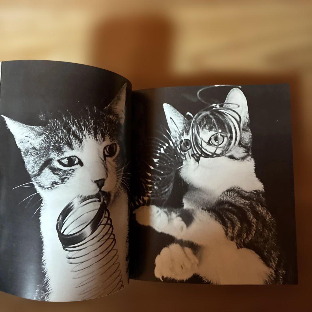 深瀬昌久　サスケ!!いとしき猫よ　写真集