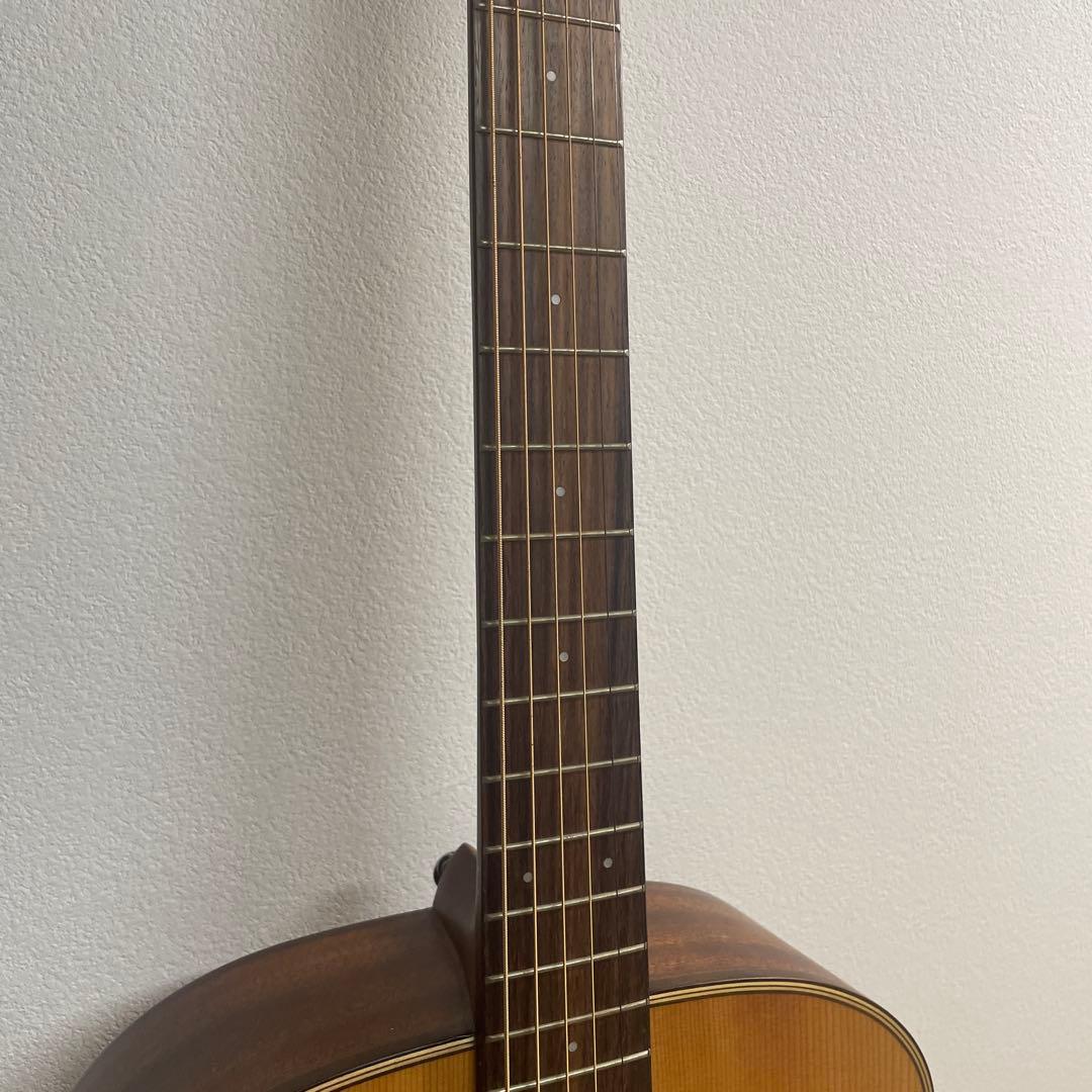 希少カワイイ❤️ ゼマイティス CAG-100HW-E アコギ　エレアコ　ハート