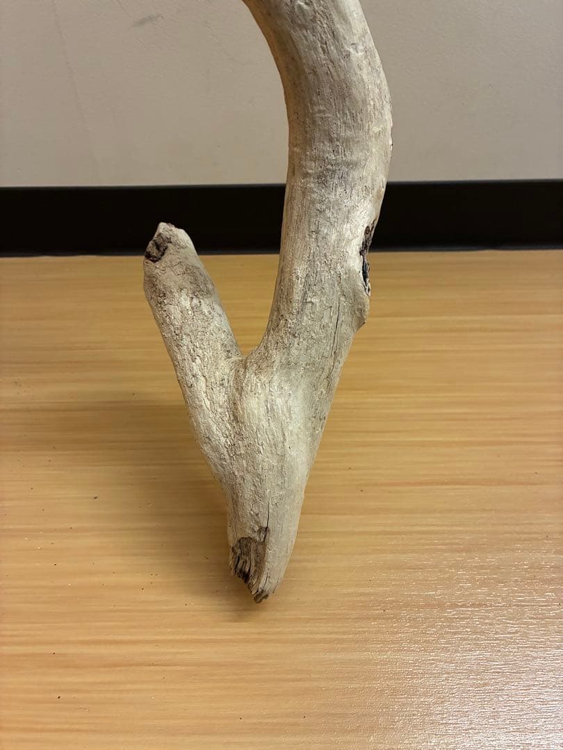 一点物 流木オブジェ|爬虫類・魚｜高さ約75cm Y字型｜大型インテリア
