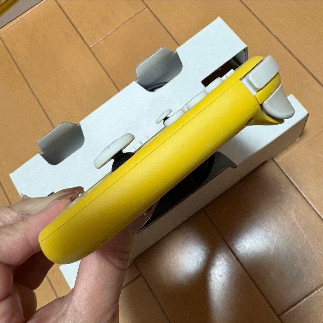 NINTENDO Switch light ニンテンドー スイッチ ライト