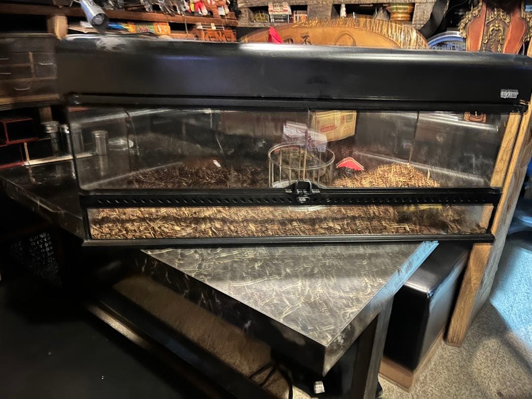 GEXエキゾテラグラステラリウム、爬虫類ゲージ、リクガメゲージ、爬虫類飼育ケース