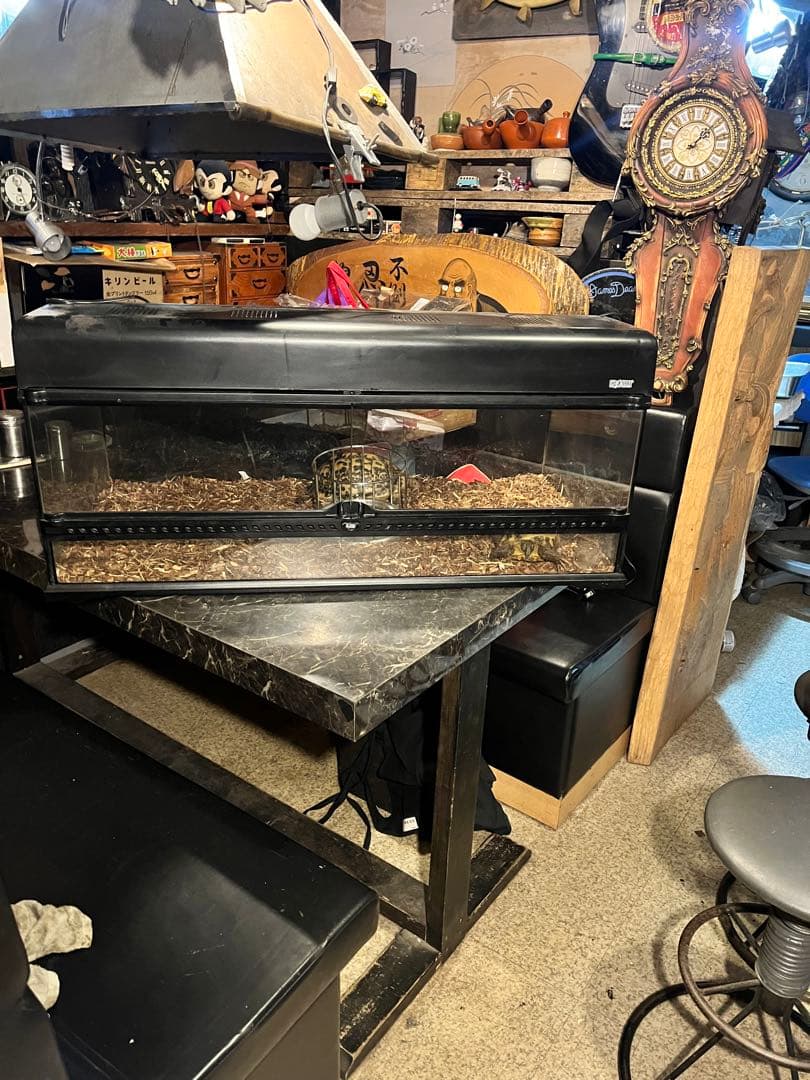 GEXエキゾテラグラステラリウム、爬虫類ゲージ、リクガメゲージ、爬虫類飼育ケース