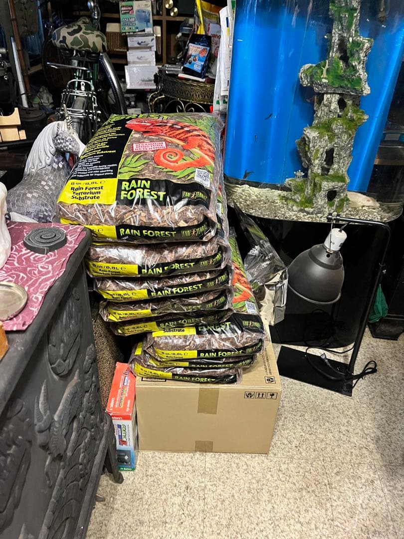 GEXエキゾテラグラステラリウム、爬虫類ゲージ、リクガメゲージ、爬虫類飼育ケース