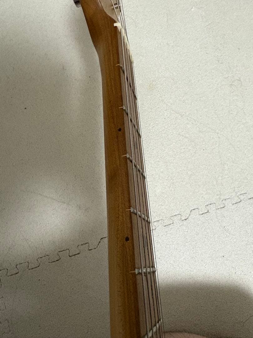 Bacchus UniverseSeriesBTE2RSM/Mブラック