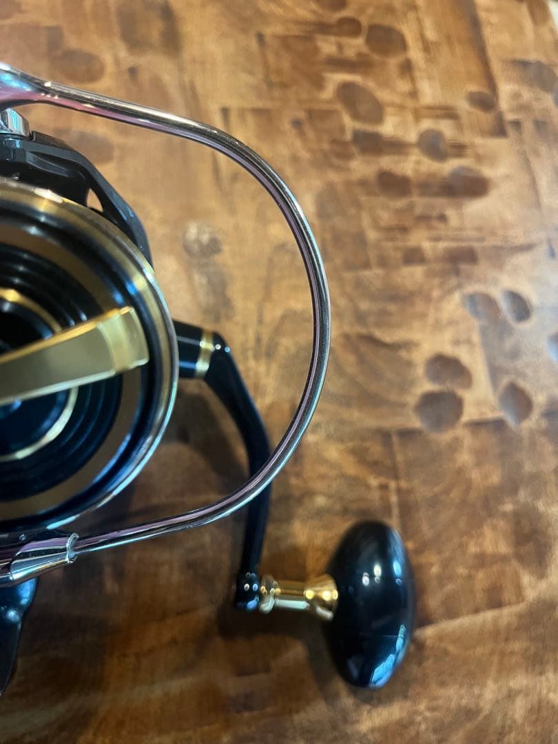 DAIWA SALTIGA ダイワ20ソルティガ8000 H