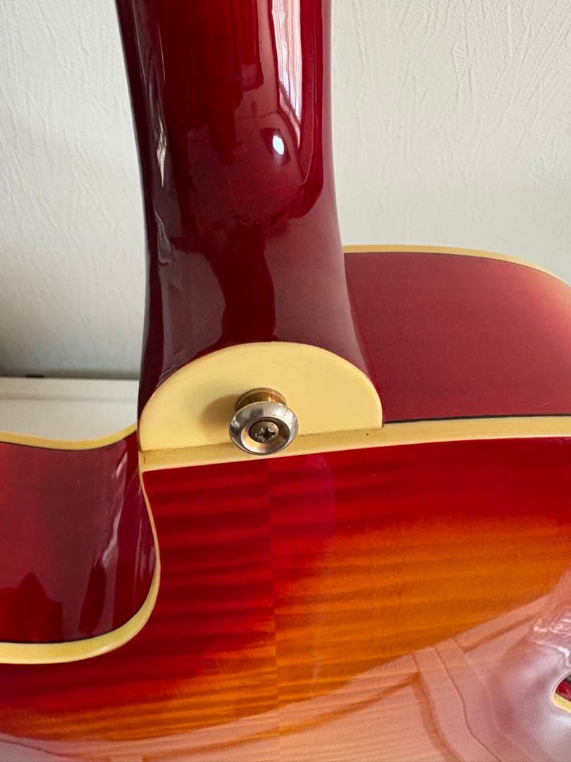 Cooler by Takamine アコースティックギター　TCP-480