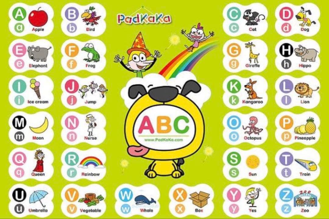 単語カード　幼児・子ども用　英語教材『PadKaKa（パッドカカ）』新品！