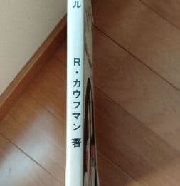 激レア　ビリヤードボール　リチャード・ カウフマン