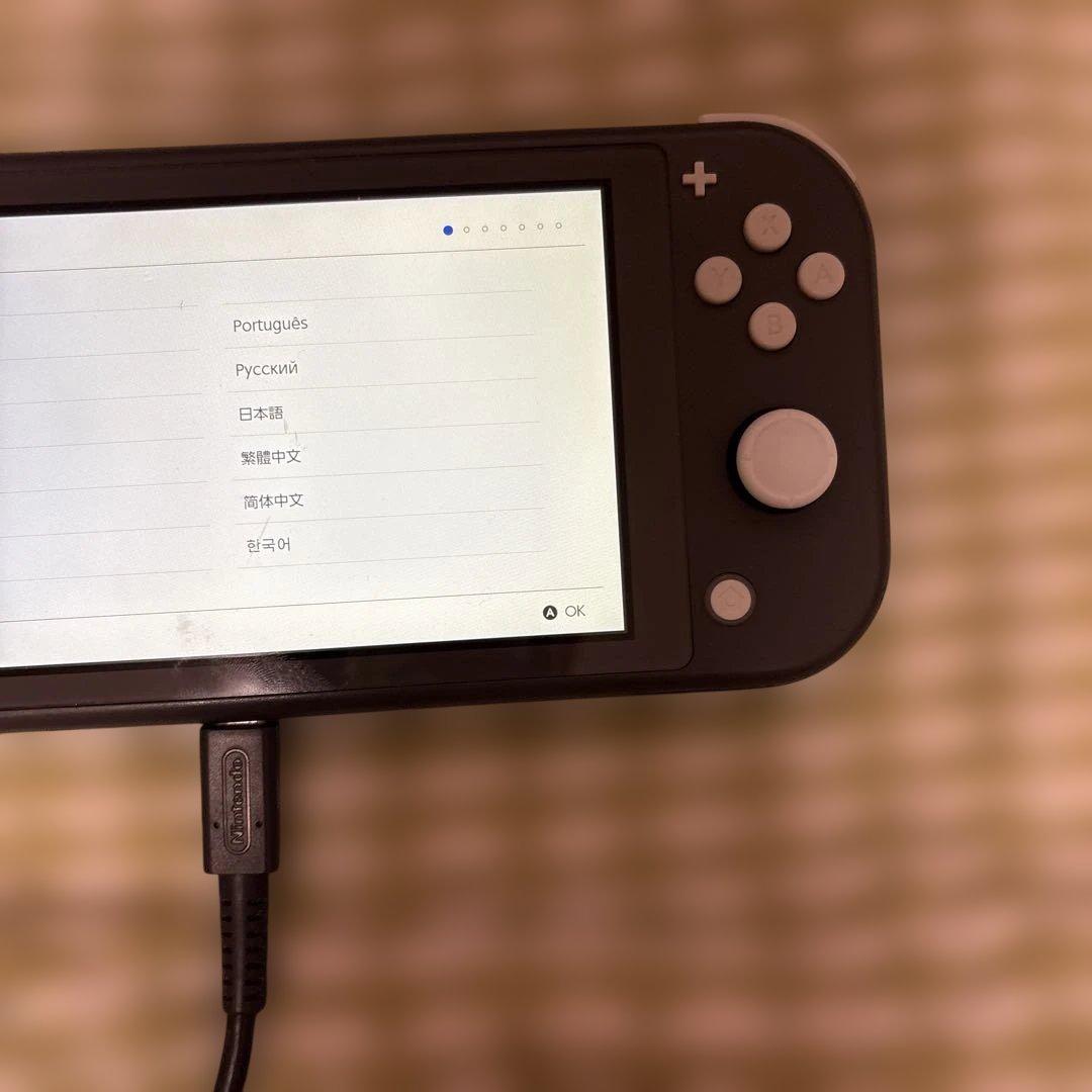 Nintendo Switch Lite グレー　一部難あり