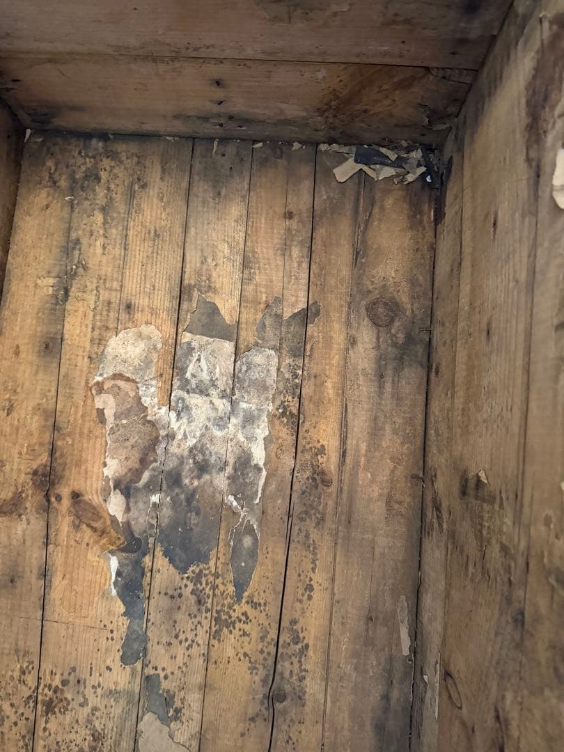 1880s EAGLE LOCK CO 米国製船旅トランク 希少140年物