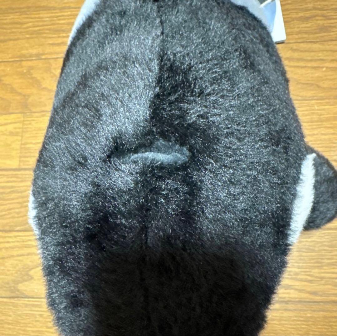 名古屋港水族館 リン シャチ ぬいぐるみ