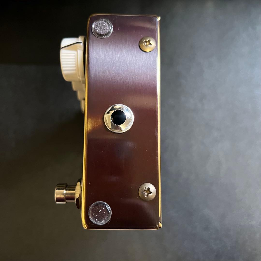 ギター VEMURAM / SPIRITONE