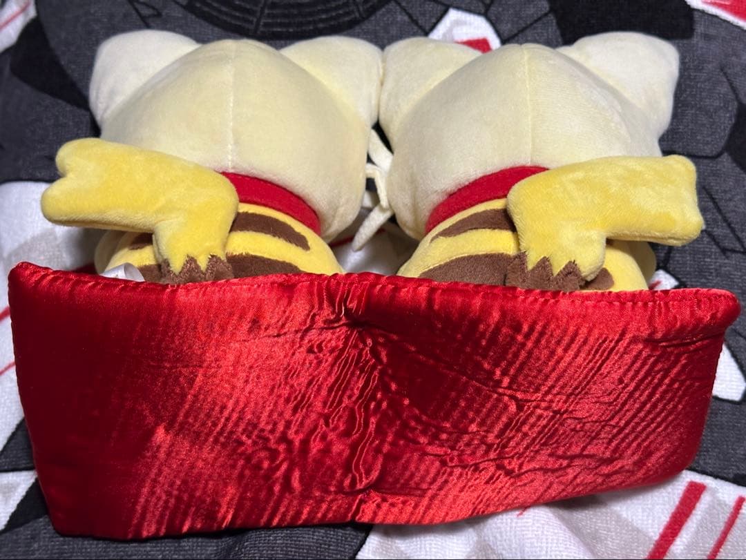 マンスリーペアピカチュウ 2017年 1月