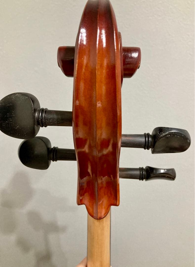 ※坂井正人※チェロ 3/4 カルロ・ジョルダーノ SC-100