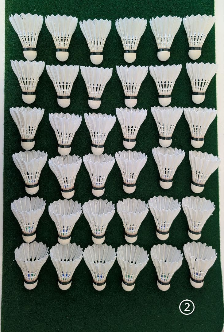 NEW OFFICIAL F4 10ダース