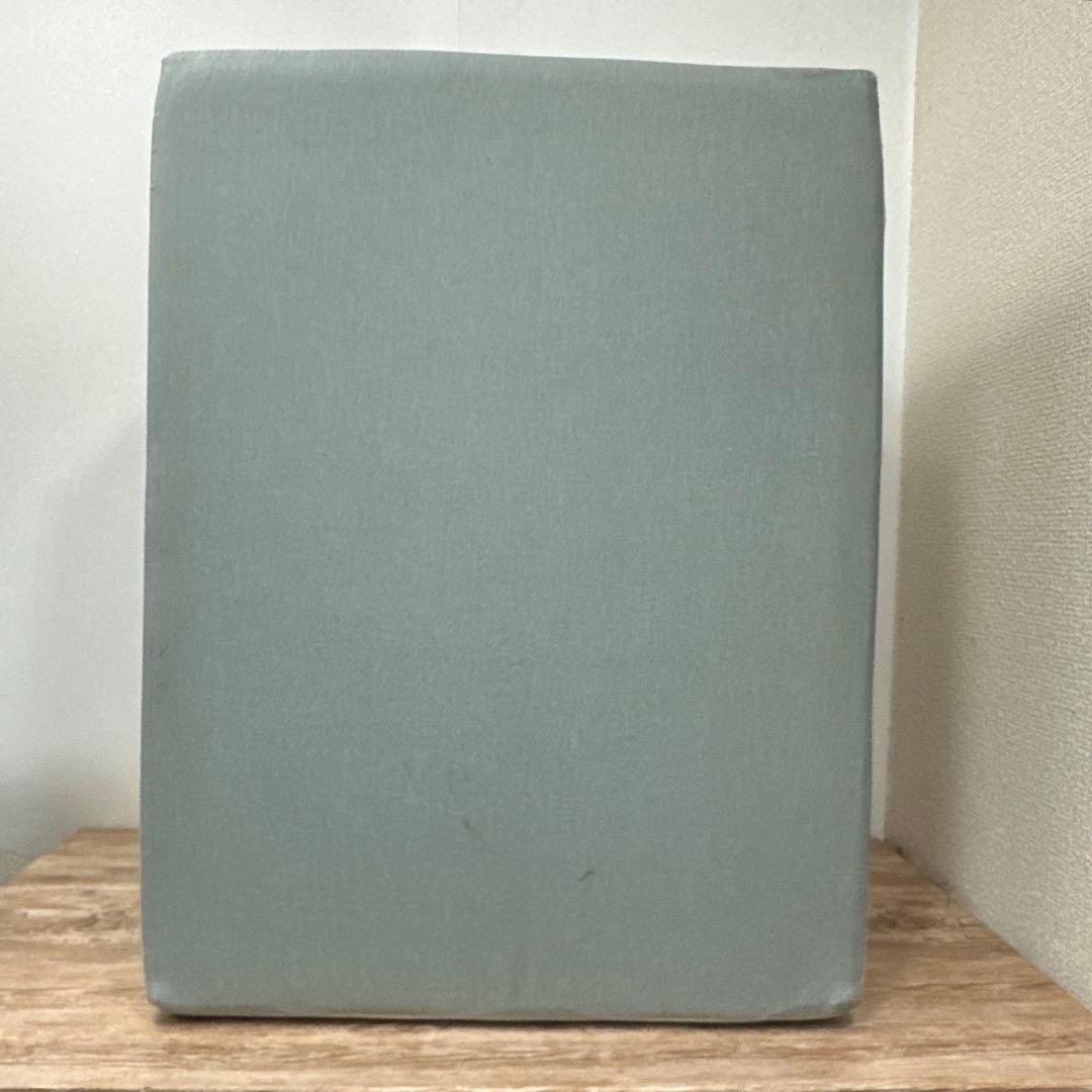 【IDOG&ICAT】 iDog Living アイステップレザータイプ 3段