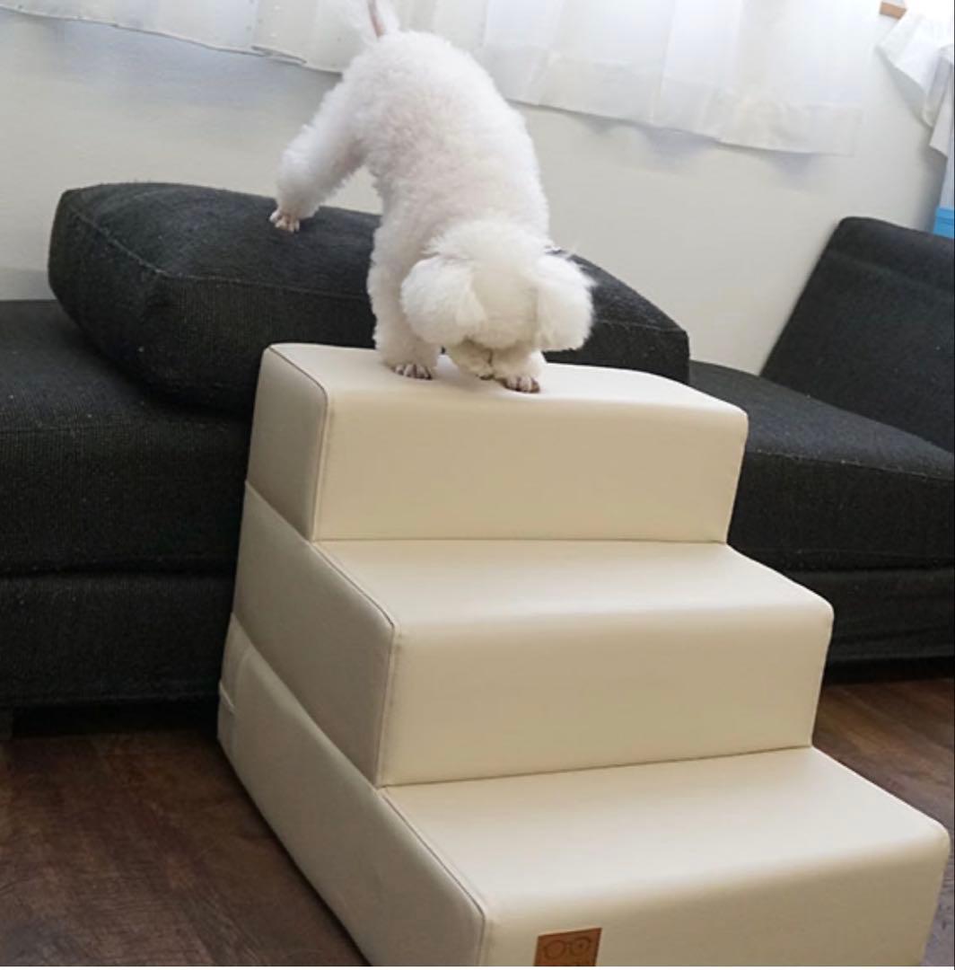 【IDOG&ICAT】 iDog Living アイステップレザータイプ 3段