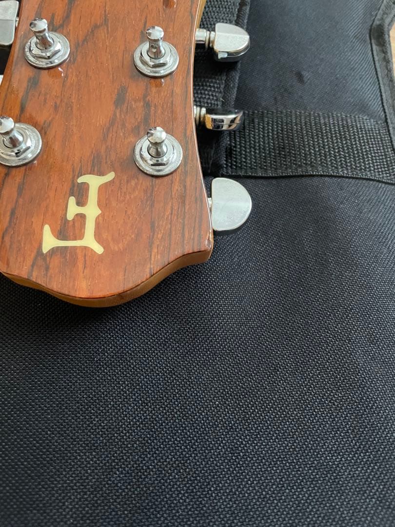 hideモデル フェルナンデス バーニー クリスタル アクリル モッキンバード