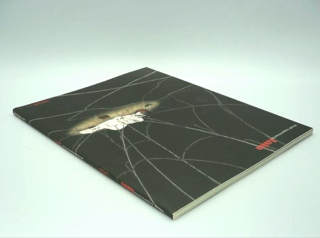 Serial experiments lain 画集 初版 2冊セット 稀少