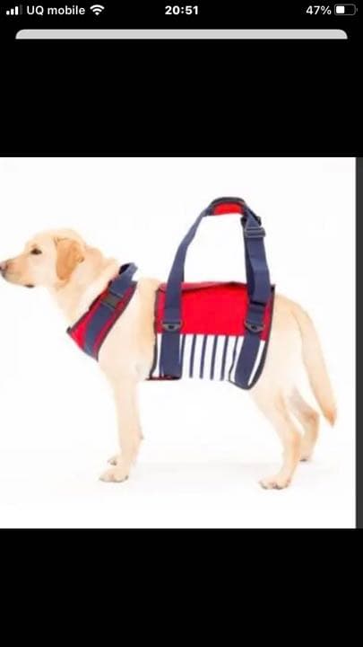 ハーネス　歩行補助　老犬介護　シニア犬　値下げしました