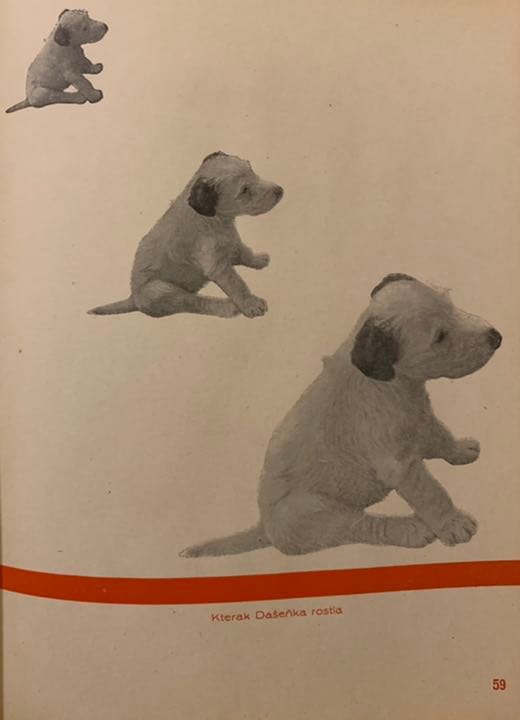 【稀覯本】カレル・チャペック著『ダーシェンカ』Dášeňka 1946年版